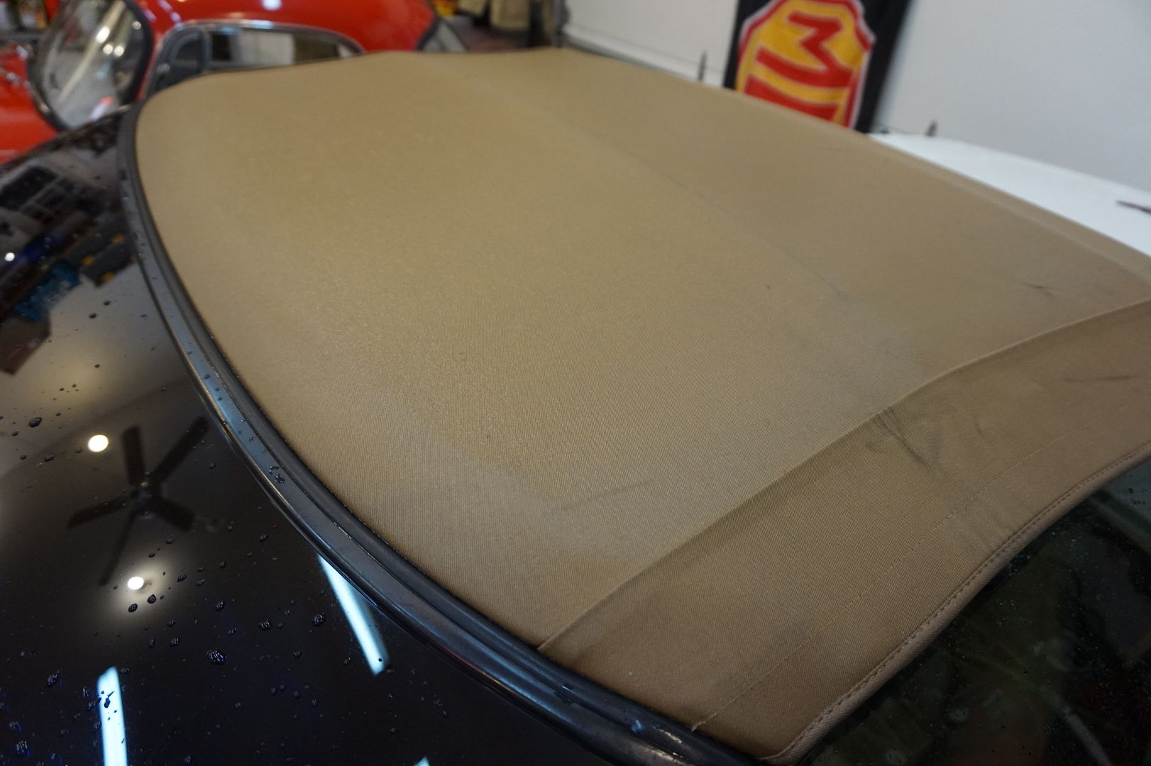 Mold/Mildew stained Tan convertible top wont clean up Help Page 6